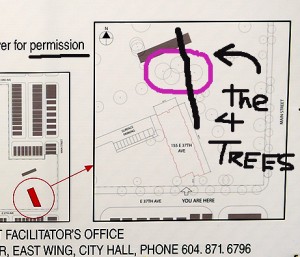 Development Permit shows location of heritage trees bisected by new power lines.