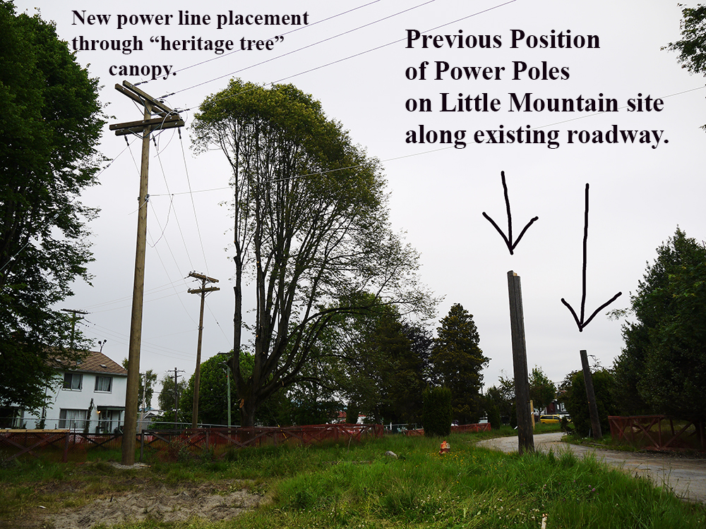 URBAN ONE slashes through the canopy for temporary power connections at Little Mountain